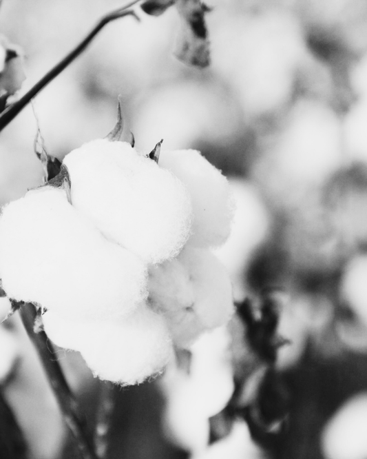 Designing for circularity - research in practice